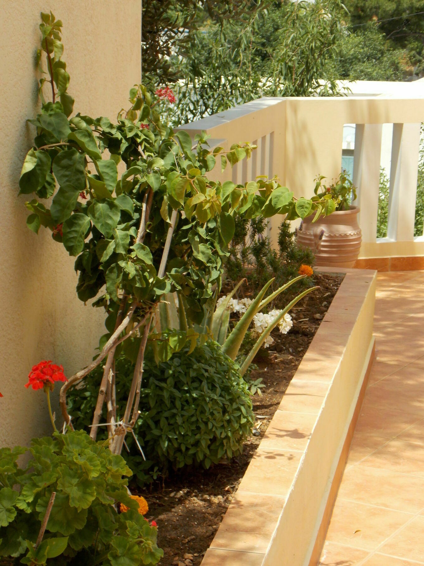 Myrties Boutique Apartments Masouri Ngoại thất bức ảnh